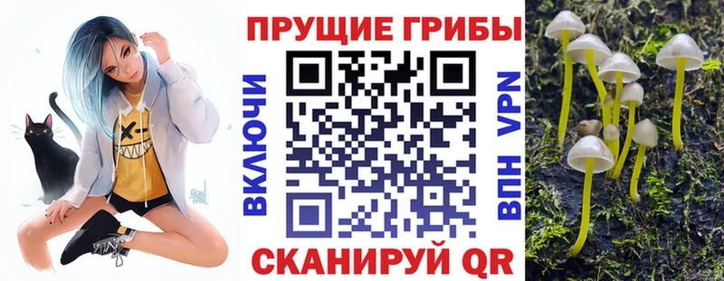 Галлюциногенные грибы Psilocybe Маркс