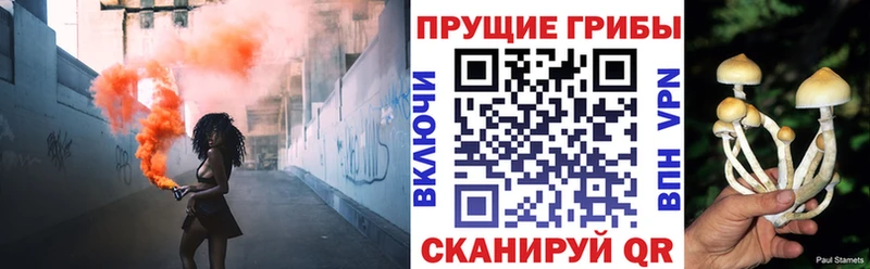 Псилоцибиновые грибы Psilocybe купить наркотик блэк спрут ссылки Маркс